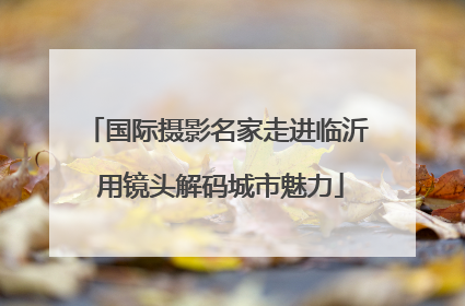 国际摄影名家走进临沂 用镜头解码城市魅力