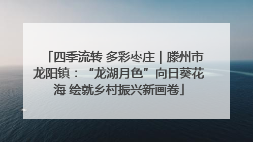 四季流转 多彩枣庄｜滕州市龙阳镇：“龙湖月色”向日葵花海 绘就乡村振兴新画卷