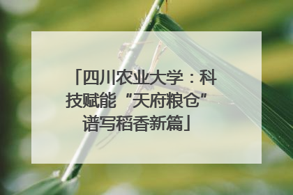 四川农业大学：科技赋能“天府粮仓”谱写稻香新篇