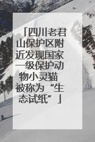 四川老君山保护区附近发现国家一级保护动物小灵猫 被称为“生态试纸”