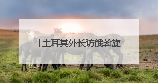 土耳其外长访俄斡旋 俄外长说愿在伊斯坦布尔与乌克兰再谈