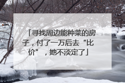 寻找周边能种菜的房子，付了一万后去“比价”，她不淡定了