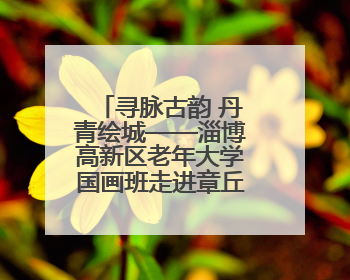 寻脉古韵 丹青绘城——淄博高新区老年大学国画班走进章丘明水古城开展文化研学活动