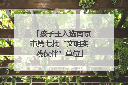 孩子王入选南京市第七批“文明实践伙伴”单位
