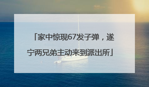 家中惊现67发子弹，遂宁两兄弟主动来到派出所