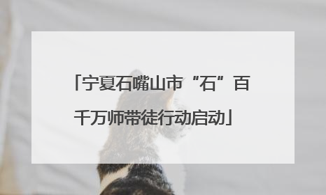 宁夏石嘴山市“石”百千万师带徒行动启动