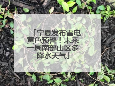宁夏发布雷电黄色预警！未来一周南部山区多降水天气