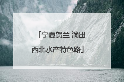 宁夏贺兰 淌出西北水产特色路