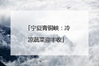 宁夏青铜峡：冷凉蔬菜迎丰收