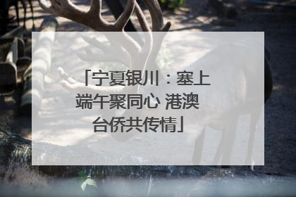 宁夏银川：塞上端午聚同心 港澳台侨共传情
