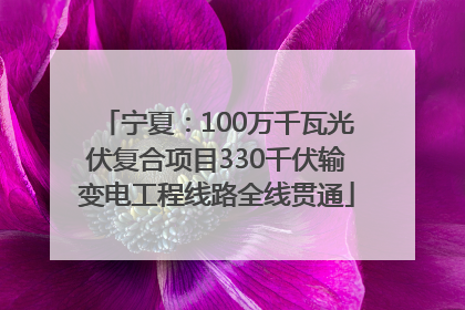 宁夏：100万千瓦光伏复合项目330千伏输变电工程线路全线贯通