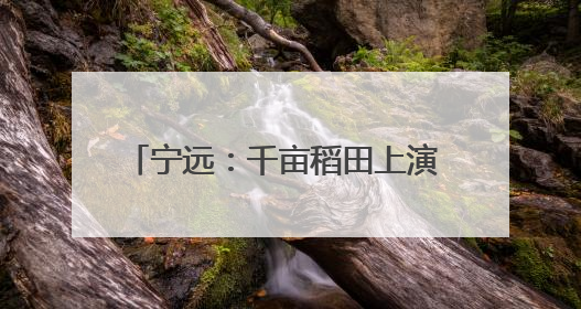 宁远：千亩稻田上演 “智慧种田” 升级