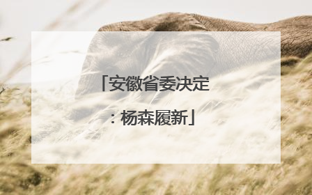 安徽省委决定：杨森履新