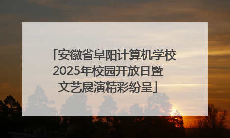 安徽省阜阳计算机学校2025年校园开放日暨文艺展演精彩纷呈