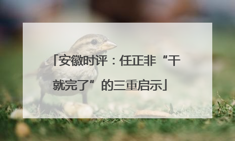 安徽时评：任正非“干就完了”的三重启示