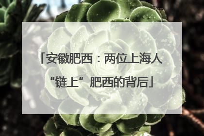 安徽肥西：两位上海人“链上”肥西的背后