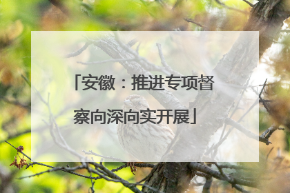 安徽：推进专项督察向深向实开展