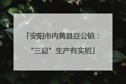 安阳市内黄县豆公镇：“三夏”生产有实招