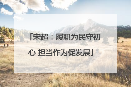宋超：履职为民守初心 担当作为促发展