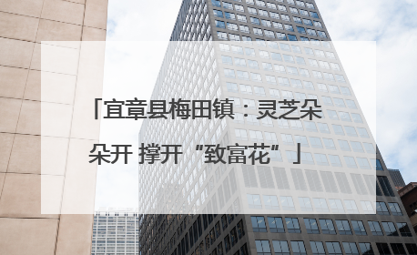 宜章县梅田镇：灵芝朵朵开 撑开“致富花”