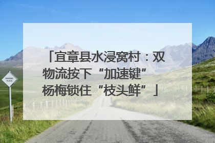 宜章县水浸窝村：双物流按下“加速键” 杨梅锁住“枝头鲜”