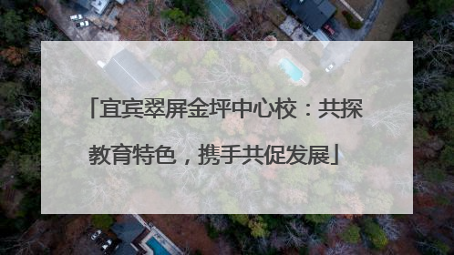 宜宾翠屏金坪中心校：共探教育特色，携手共促发展