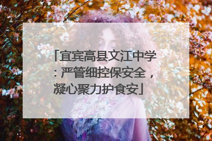 宜宾高县文江中学：严管细控保安全，凝心聚力护食安