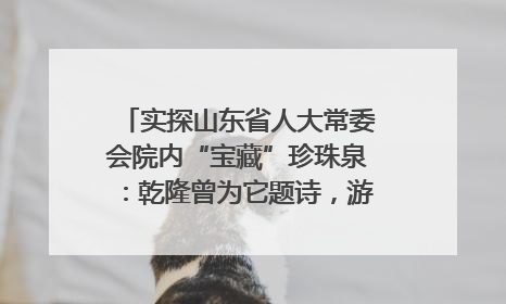 实探山东省人大常委会院内“宝藏”珍珠泉：乾隆曾为它题诗，游客无需预约免费游览