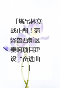 塔吊林立战正酣！菏泽鲁西新区奏响项目建设“奋进曲”