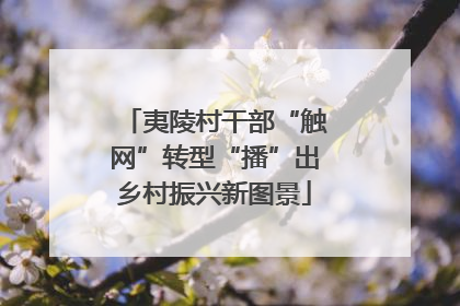 夷陵村干部“触网”转型“播”出乡村振兴新图景