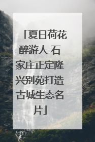 夏日荷花醉游人 石家庄正定隆兴别苑打造古城生态名片