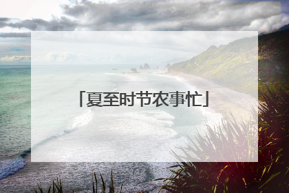 夏至时节农事忙