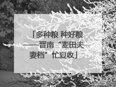 多种粮 种好粮——晋南“麦田夫妻档”忙夏收