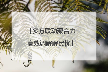 多方联动聚合力 高效调解解民忧