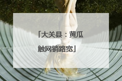 大关县：黄瓜触网销路宽