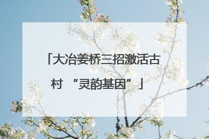 大冶姜桥三招激活古村 “灵韵基因”