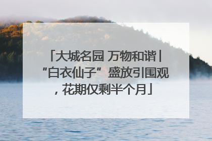 大城名园 万物和谐│“白衣仙子”盛放引围观，花期仅剩半个月