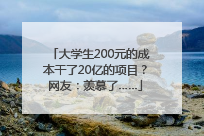 大学生200元的成本干了20亿的项目？网友：羡慕了……
