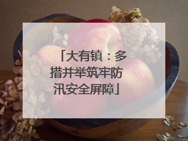 大有镇：多措并举筑牢防汛安全屏障