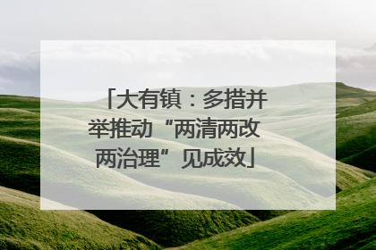 大有镇：多措并举推动“两清两改两治理”见成效