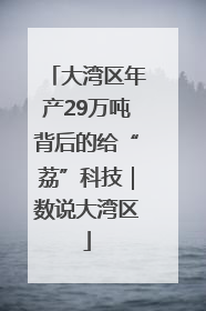 大湾区年产29万吨背后的给“荔”科技｜数说大湾区