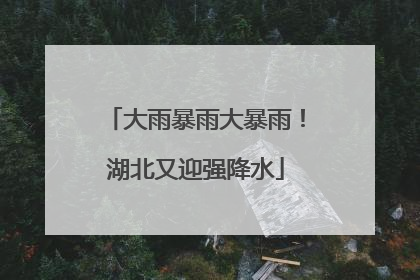 大雨暴雨大暴雨！湖北又迎强降水
