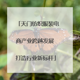 天门纺织服装电商产业跨越发展 打造行业新标杆
