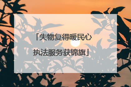 失物复得暖民心 执法服务获锦旗