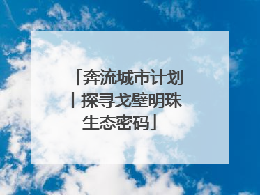 奔流城市计划丨探寻戈壁明珠生态密码