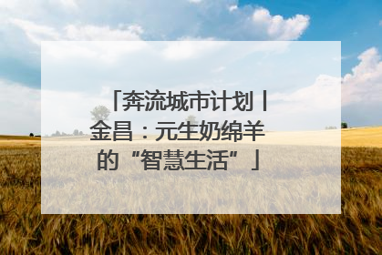 奔流城市计划丨金昌：元生奶绵羊的“智慧生活”