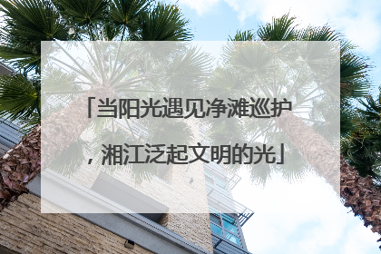 当阳光遇见净滩巡护，湘江泛起文明的光