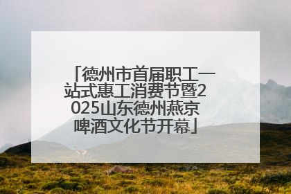 德州市首届职工一站式惠工消费节暨2025山东德州燕京啤酒文化节开幕
