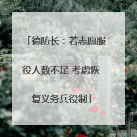 德防长：若志愿服役人数不足 考虑恢复义务兵役制