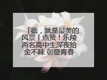 德，就是最美的风景丨点赞！乐陵两名高中生深夜拾金不昧 彰显青春正能量